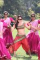 Actress Aksha Hot Stills in Rey Rey Movie