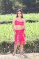 Rey Rey Actress Aksha Hot Stills