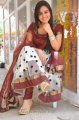 Aksha in Churidar Cute Stills