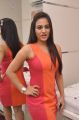Telugu Actress Aksha Pardasany Hot Photos