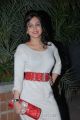 Aksha Pardasany Latest Stills in White Winter Wear