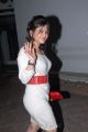 Aksha Pardasany Latest Hot Stills in White Winter Wear