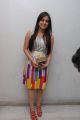 Beautiful Aksha Pardasany in Sleeveless Dress Photos