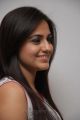 Telugu Actress Aksha Pardasany Beautiful Stills