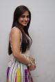 Aksha Pardasany Hot Looking Stills in Sleeveless White Dress