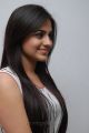 Telugu Actress Aksha Pardasany Beautiful Stills