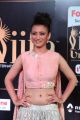 Actress Akshara Hassan Photos @ IIFA Utsavam 2017 (Day 1)