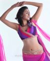 Tamil Actress Akshara Hot Photoshoot Stills
