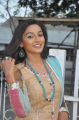 Tamil Actress Akshaya in Churidar Stills