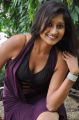 Actress Akshaya Hot Stills @ Nannu Dochukunduvate Launch
