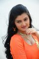 Actress Akshitha Photos @ Prasnista Movie Opening