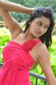 actress_akshitha_hot_photos_jaiho_movie_launch_1fbedf0