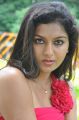 actress_akshitha_hot_photos_jaiho_movie_launch_4311e1a