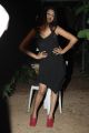 Actress Akshitha Hot Stills at Tanu Monne Vellipoyindi Audio Release