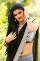 Actress Akshitha Photos @ Prasnistha Movie Audio Release