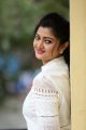 Telugu Actress Akshitha Photos @ Prementha Panichese Narayana Trailer Launch