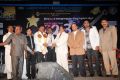 Alandur Fine Arts Awards 2013 Photos