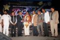 Alandur Fine Arts Awards 2013 Photos