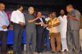 Alandur Fine Arts Awards 2014 Stills