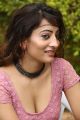 Telugu Heroine Alanki Hot Stills
