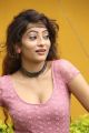 Telugu Actress Alanki Hot Stills