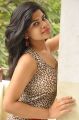 Actress Alekya Hot Pics @ Aa Aiduguru Athade CM Trailer Launch