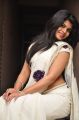 Telugu Actress Alekya Hot Images in White Saree
