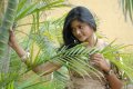 Telugu Heroine Alekya Stills