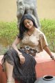 Telugu Heroine Alekhya Hot Pics