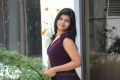 Telugu Actress Alekya in Violet Dress Hot Photo Shoot Stills