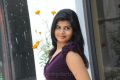 Edalo Cheragani Guruthulu Actress Alekya Hot Photo Shoot Stills