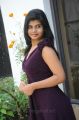 Telugu Actress Alekya in Violet Dress Hot Photo Shoot Stills