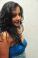 Telugu Actress Alisha Hot Photo Shoot Stills