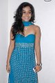 Telugu Actress Alisha Hot Photo Shoot Stills