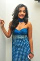 Telugu Actress Alisha Hot Photo Shoot Stills