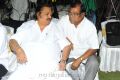 Dasari Narayana Rao,Kota Srinivasa Rao at All the Best Audio Release