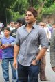 Actor Allu Arjun Photos at Race Gurram Movie Launch