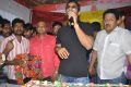 Telugu Actor Allu Arjun Birthday Celebration 2013 Photos