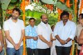 allu_arjun_trivikram_new_movie_opening_3429