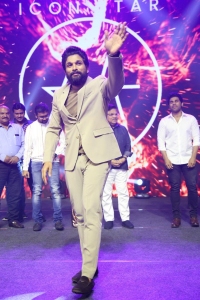 Actor Allu Arjun Stills @ Urvasivo Rakshasivo Blockbuster Celebrations