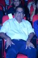 Brahmanandam @ Alludu Seenu Audio Release Function Photos