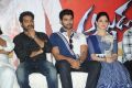 Alludu Seenu Movie Platinum Disc Function Photos