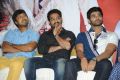 Alludu Seenu Movie Platinum Disc Function Photos