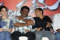 Alludu Seenu Movie Platinum Disc Function Photos