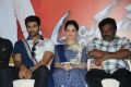 Alludu Seenu Movie Platinum Disc Function Photos