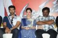 Alludu Seenu Movie Platinum Disc Function Photos