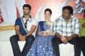 Alludu Seenu Movie Platinum Disc Function Photos