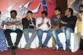 Alludu Seenu Movie Platinum Disc Function Photos