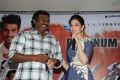 Alludu Seenu Movie Platinum Disc Function Photos