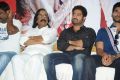 Alludu Seenu Movie Platinum Disc Function Photos